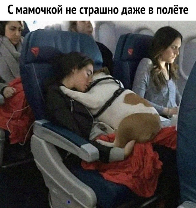Картинки и мемы для настроения - 29