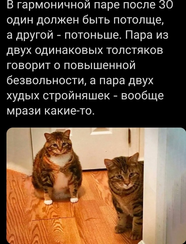 60 картинок