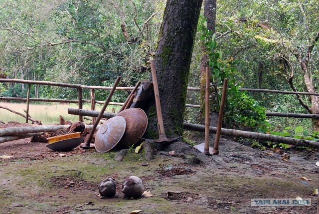 ГоА свои впечатления