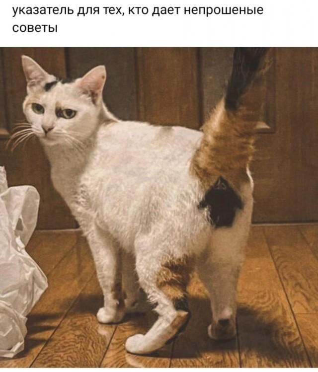Юмор в картинках и без