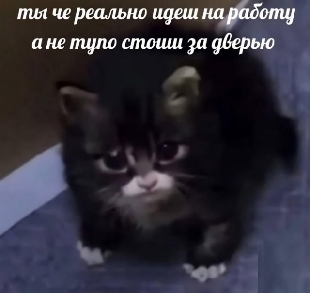 Немного картинок для настроения - 137