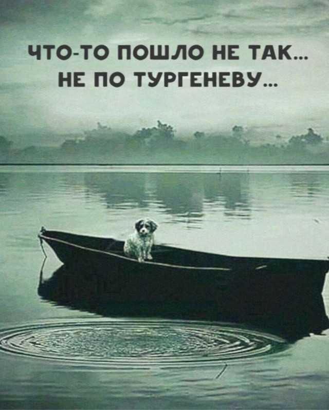Немного картинок для настроения - 161