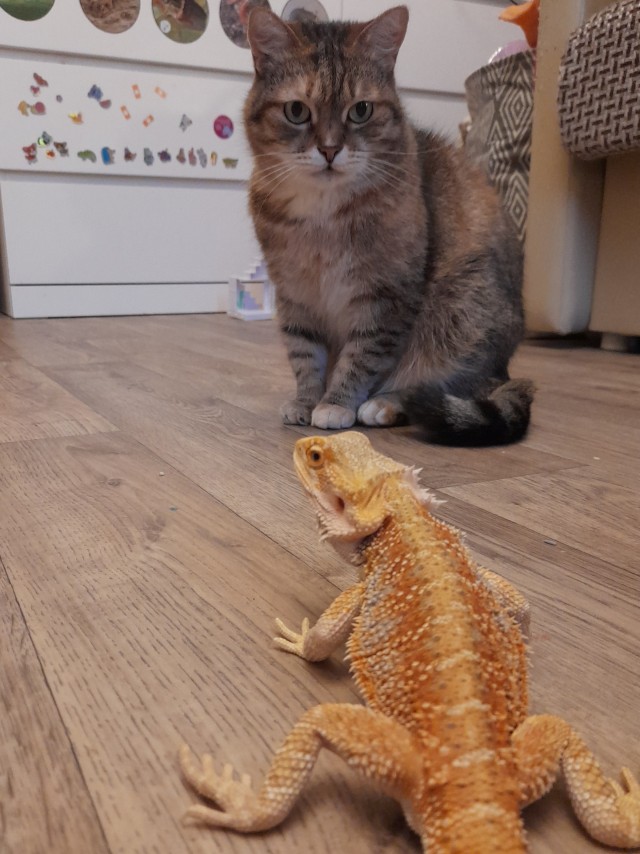 На святое покусилась⁠⁠