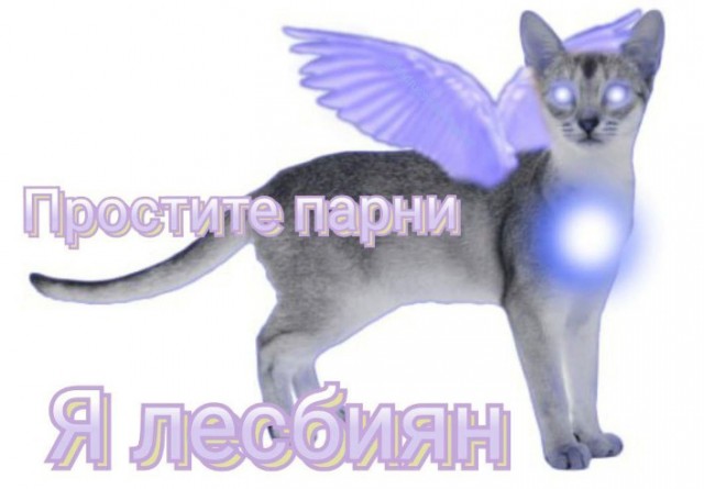 Всего понемногу. От 01.03.24