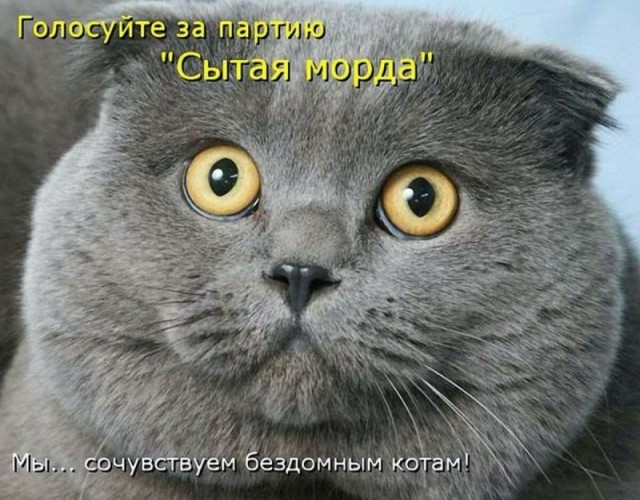 Тлидцать тли от 13 маЛта