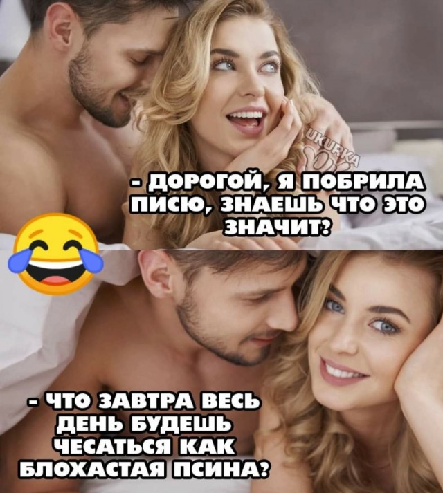 Куча веселых картинок