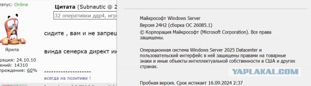 Как скачать Windows 11 без говна и встроенных приложений