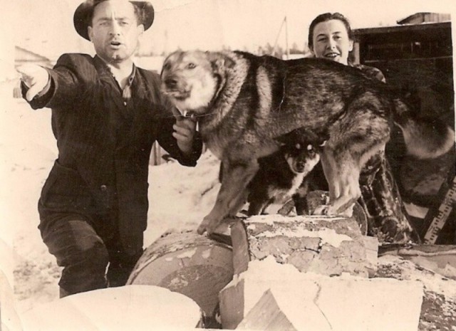 Советские люди в 1950 - 60-х годах