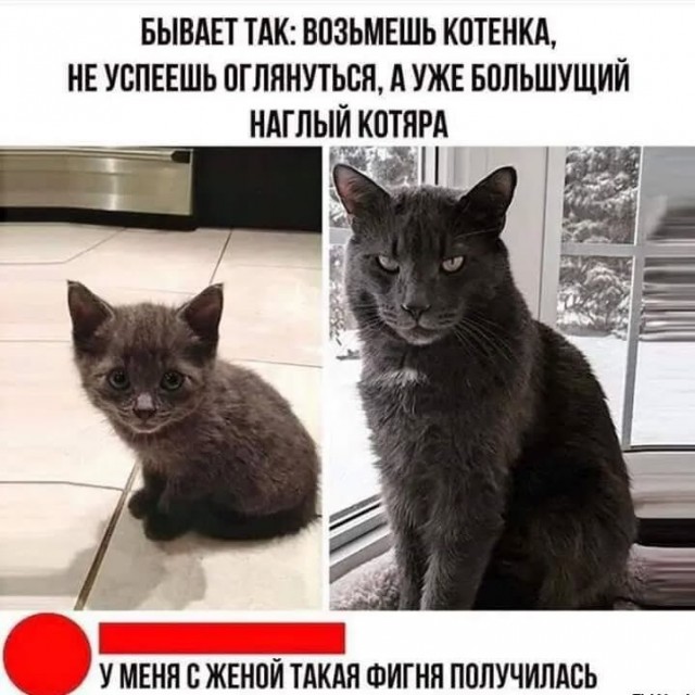 Завалялось тут случайно немного забавных картинок