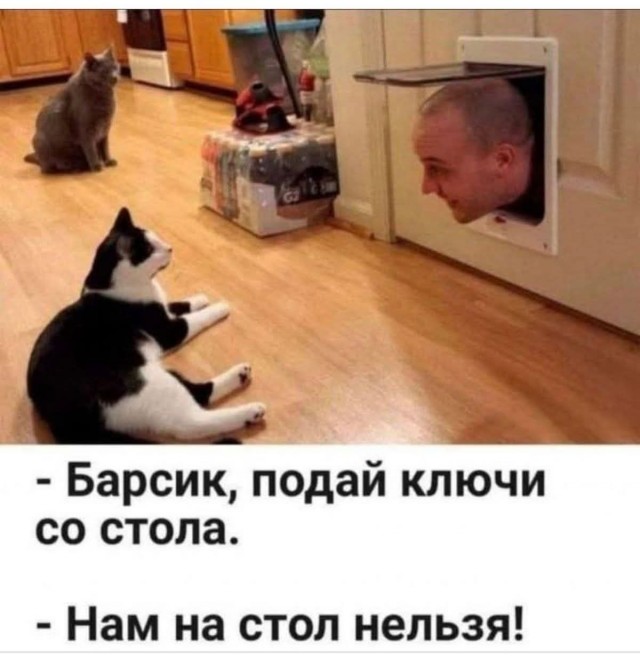 Завалялось тут случайно немного забавных картинок