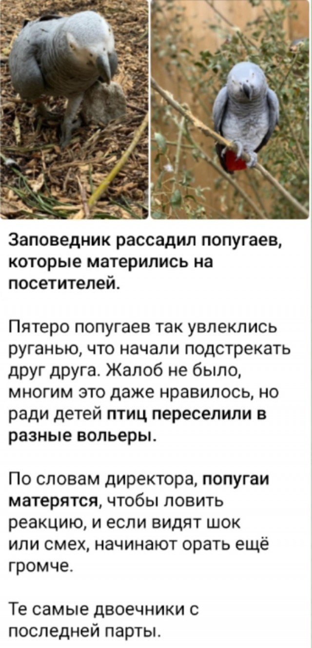 Так себе картинки 09.07.25