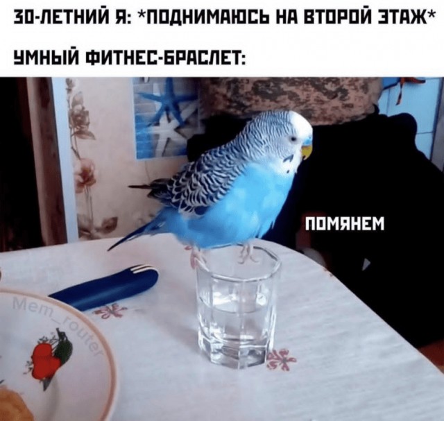 Пришла пятница!