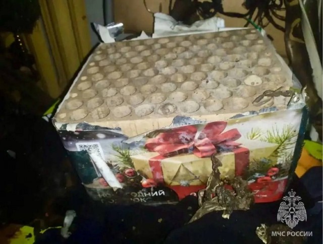 Салют в квартире закончился пожаром и реанимацией кота