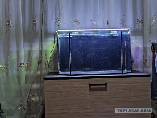 Как я себе на день рождения аквариум запилил