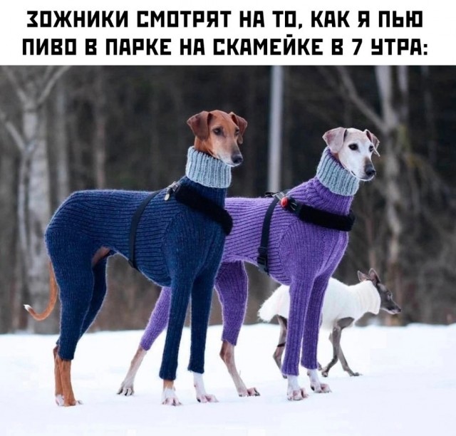 Для хорошего настроения ЧАСТЬ 2