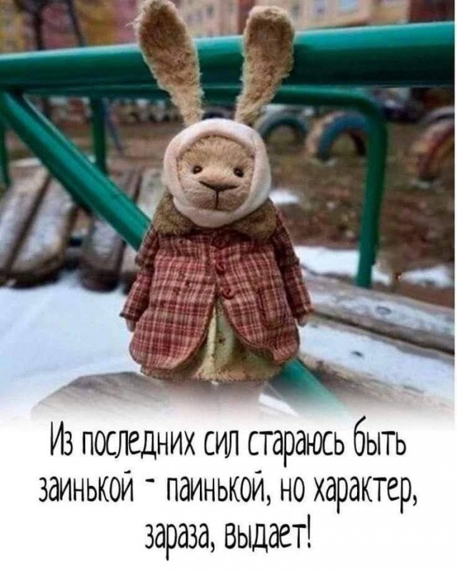 Картиночки, баянчики 12 июня