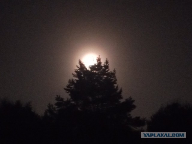 Какова красота