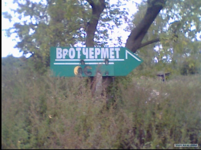 Что мы видим вокруг себя