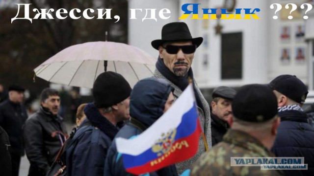 Фото дня