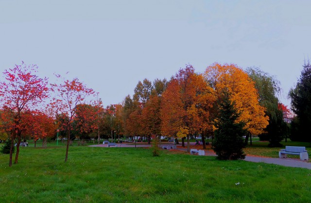 Деревенская Америка