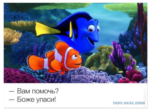 Картинки и юмор