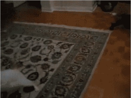 Непонятные коты