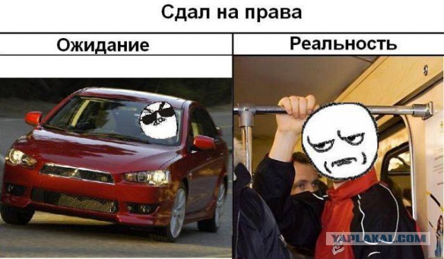 41 веселая картинка