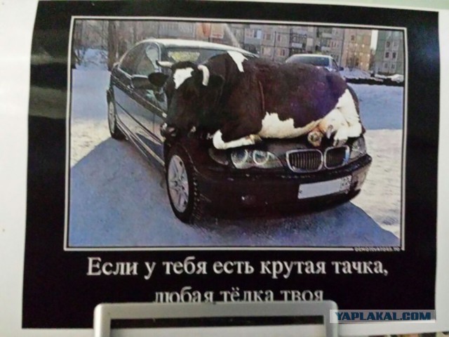 Подборка автоприколов.