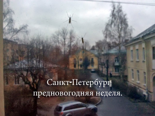 Кабы не было зимы в городах и селах