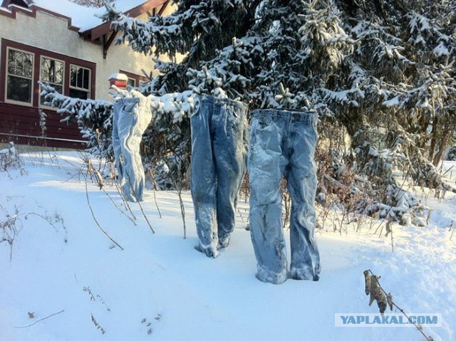 Весёлые картинки