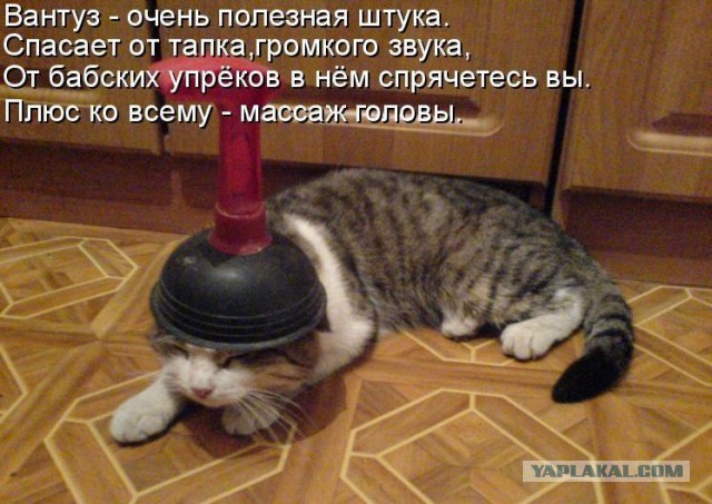 Вся наша жизнь была ошибкой: вот как на самом деле нужно отрывать стикеры для заметок