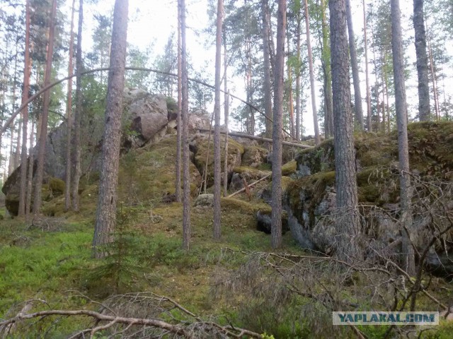 Выходные на велосипеде. Или хочешь заболеть, спроси меня как