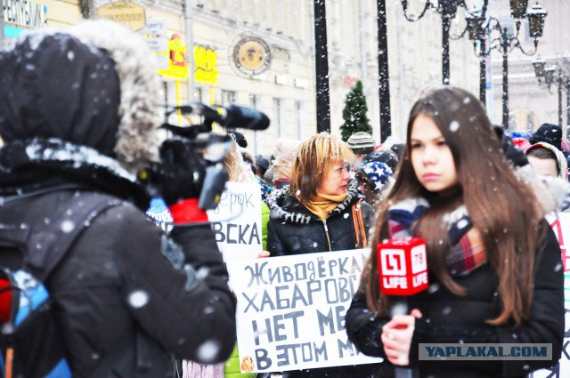 Питер против насилия