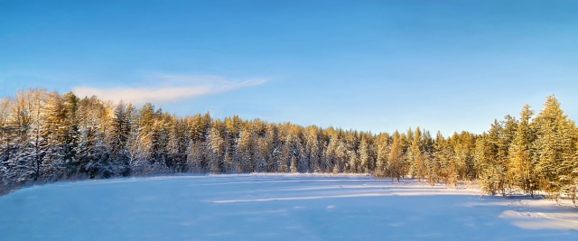 Моменты, запечатлённые на фото и просто позитив 5
