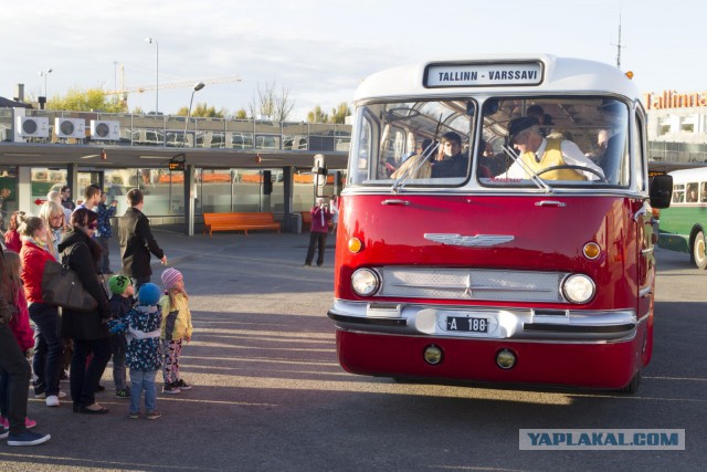 Ikarus 55 Lux "Сигара". Восставший красавчик