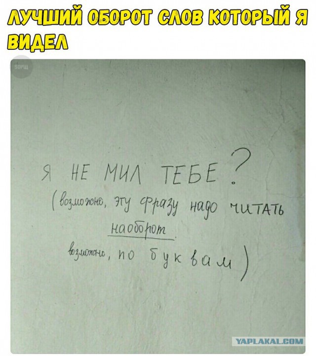 Подборка картинок с юмором "на любителя"