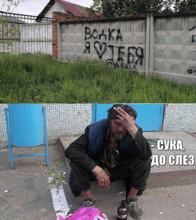 Подборка интересных и веселых картинок