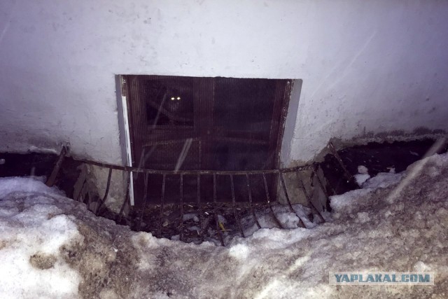 В Твери в подвале жилого дома заживо замуровали кошек!