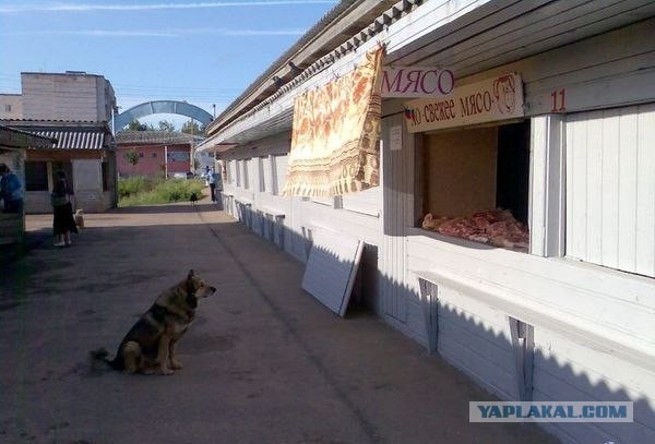 Смотрел бы вечно...