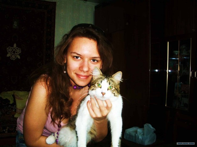 Котовторник на 1-е июня