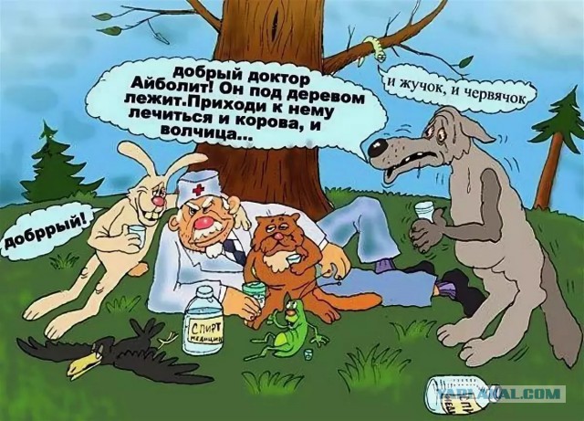 Маленькая лента анекдотов