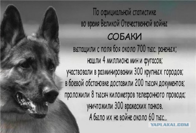 "Гладильные" места