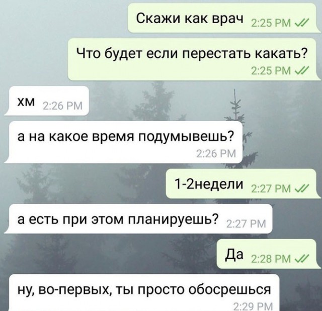 Анекдоты, соц-сети и картинки с надписями