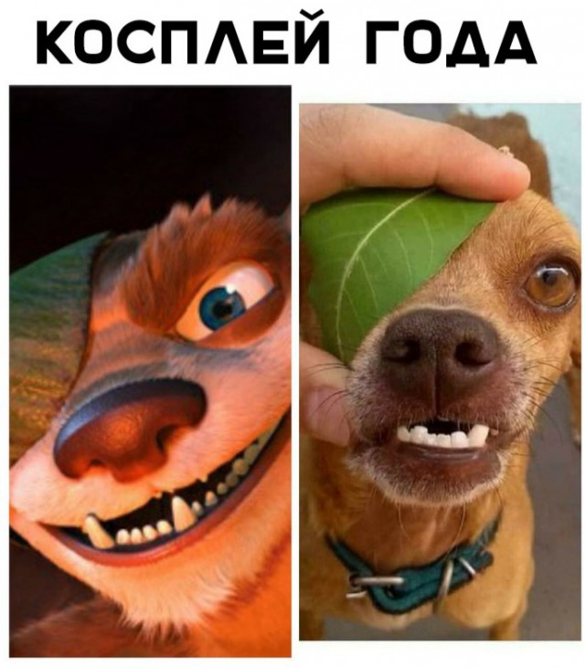 Нестандартный юмор