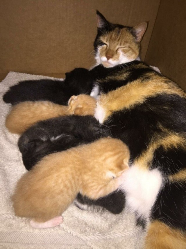 24 невероятных совпадений, которых не должно было быть