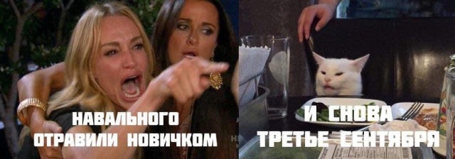 Правительство Германии: Навальный был отравлен ядом, схожим с «Новичком»