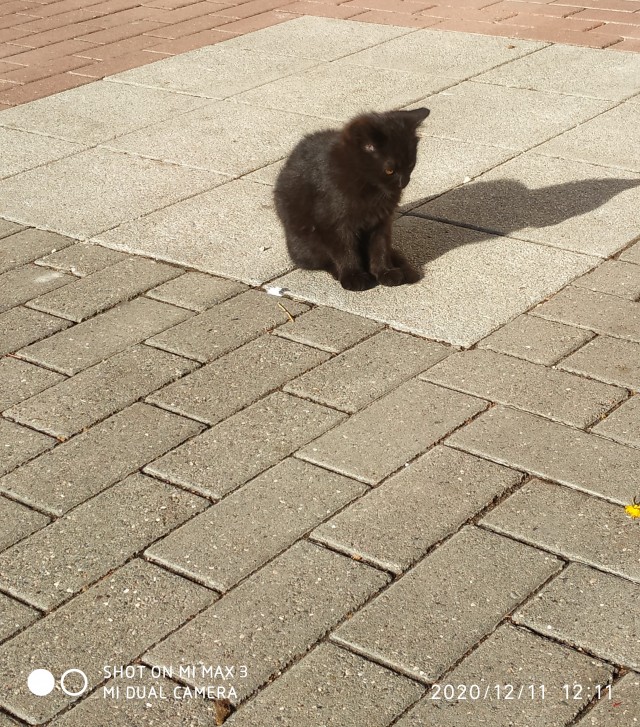 Моя красотка