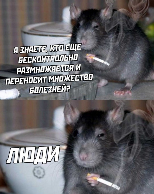 Картинки разные 24.12.20