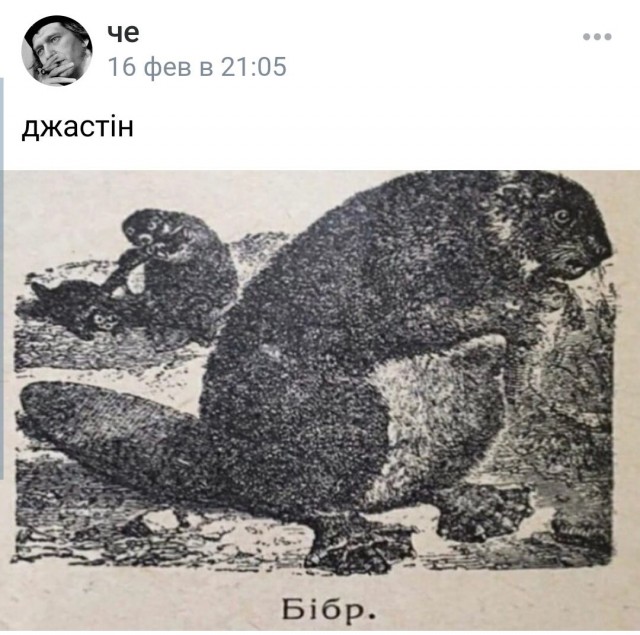 Музыкальная пауза