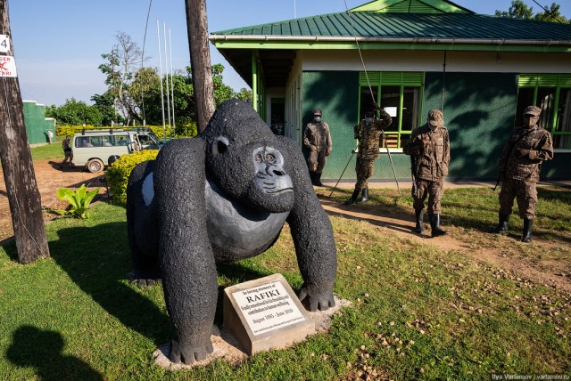Уганда: самая настоящая Африка с гориллами и носорогами!